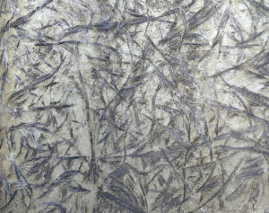 Premium Fiberglass Flat & Corrugated Sheets at Muziset Fiberglass Sheeting